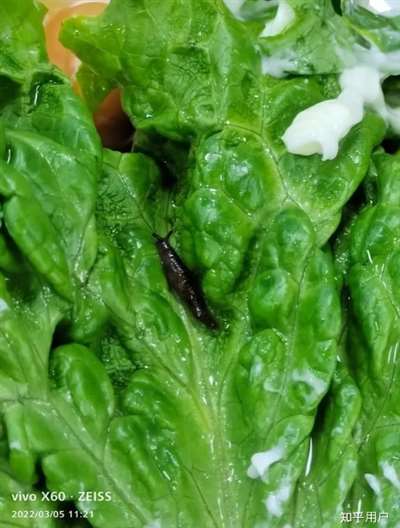 鸭脖就是鼠头，鼠头就是鸭脖，蒸馍，你不扶器？