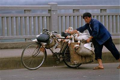 诚食讲座 - 1980年代乡村故事的转折与隐喻——《陈奂生上城》的再解读