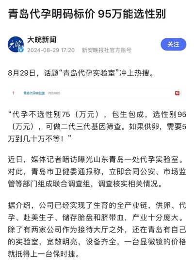 欧洲金靴-青岛代孕案与韩国N号房：性犯罪背后的社会失衡
