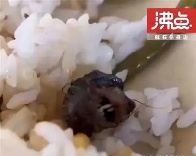 为了一个鸭脖，江西省四大巨头部门成立联合调查组