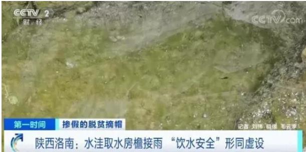 【冷】陕西通报洛南脱贫造假初步结果，3000个评论没放出一条！