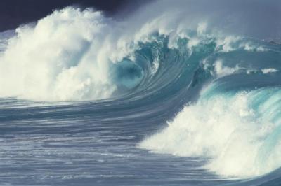 《邓小平时代》中的一句话，让我明白了为何不捉北极鲇鱼？