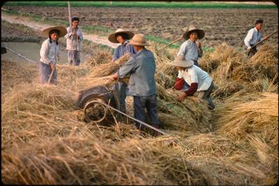 诚食讲座 - 1980年代乡村故事的转折与隐喻——《陈奂生上城》的再解读