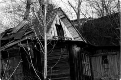 《杜鹃花落》事件的关键问题何在？