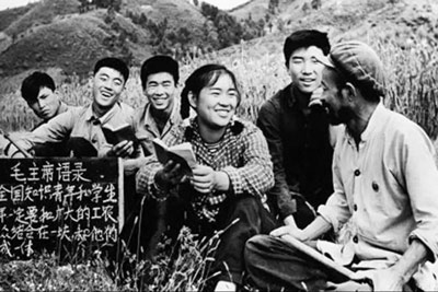 如何看待六七十年代的教育改革?