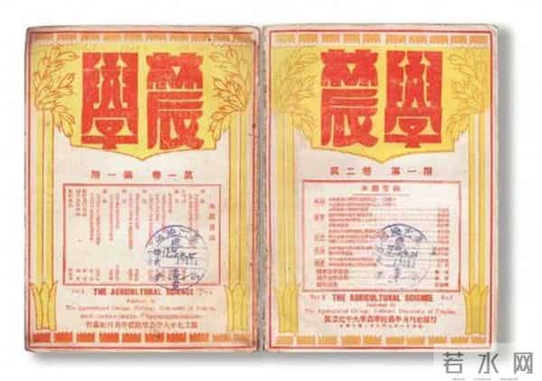 文字为何会由“直排”变为“横排”?