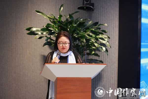 03王卫英作年度总结及来年工作部署