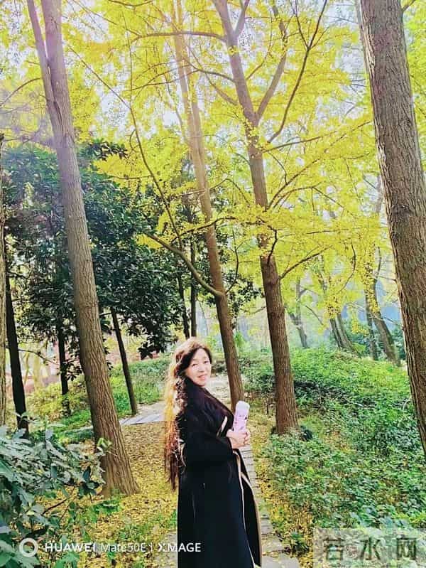 《长江文艺》2023年第12期|千忽兰:阿力麻里