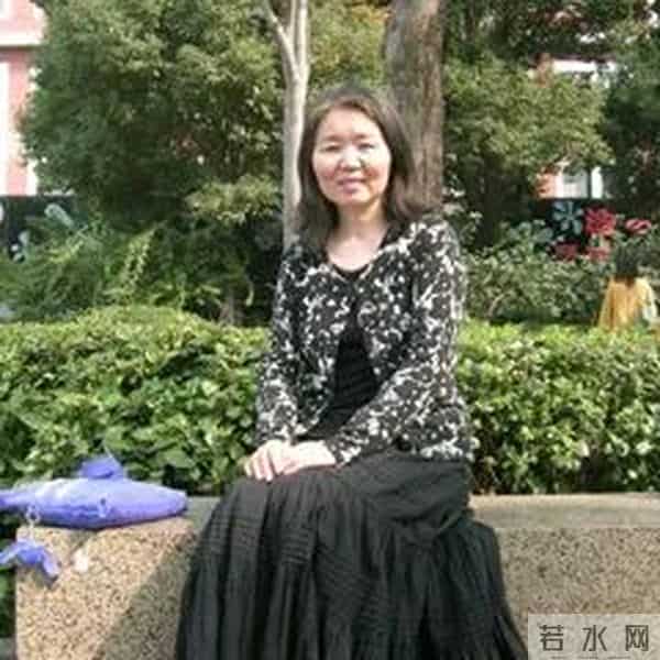 《黄河》2024年第1期|胡丹娃:和声叠影(节选)