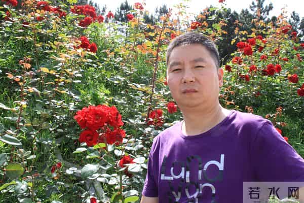 本周之星 - 李汀:植物光芒(2024年第19期)