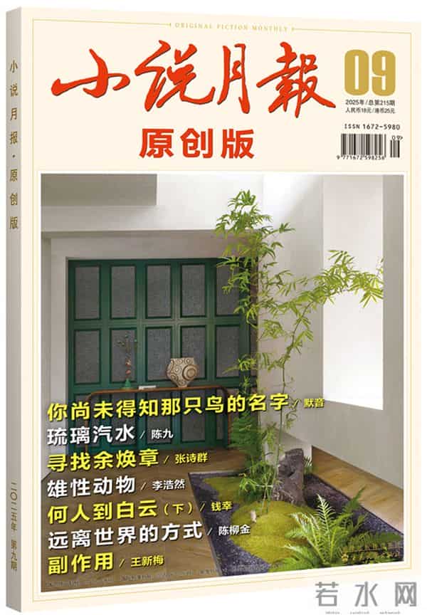 《小说月报·原创版》2025年第9期目录