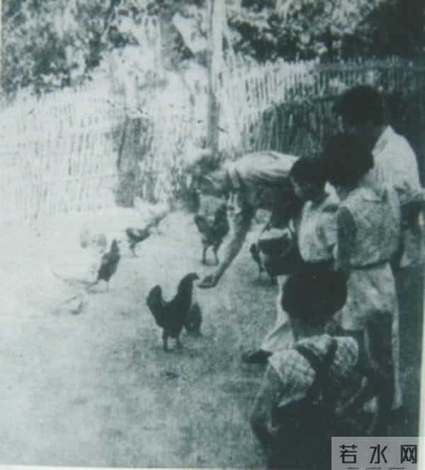 离开李庄,林徽因一步跨入老境