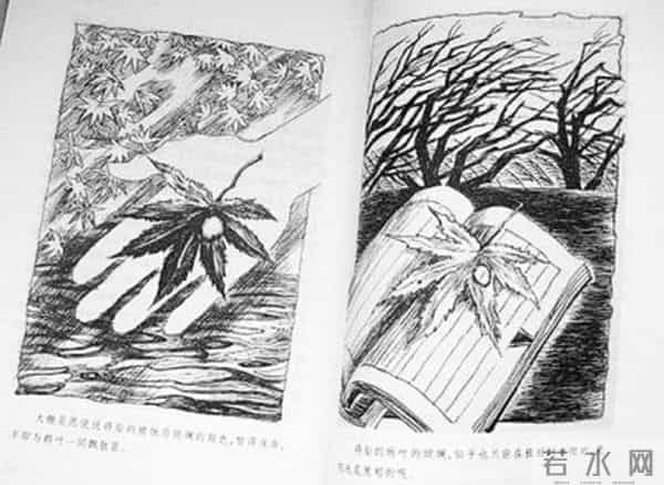 文学研究的基石是文本