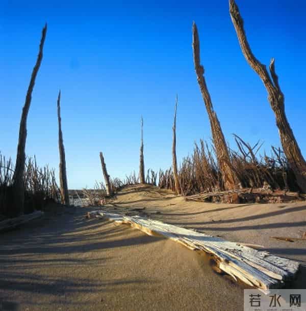 《楼兰啊,楼兰》