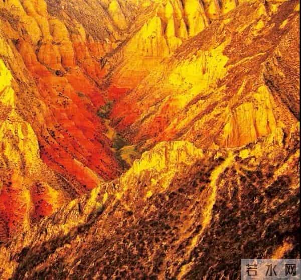 刘国欣:我想象渴爱之人萌动的爱意