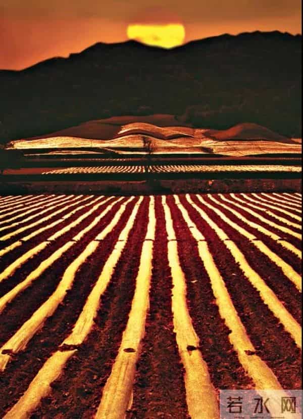 刘国欣:我想象渴爱之人萌动的爱意