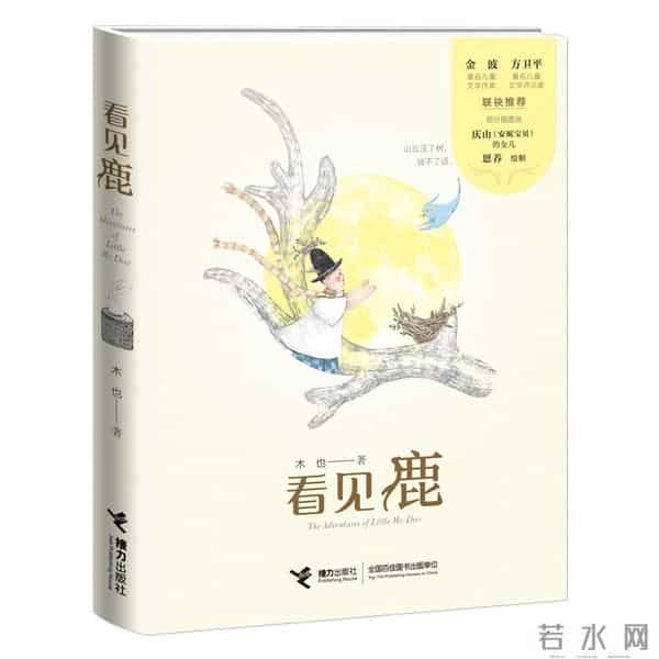 你应该有这样一本书——读木也新作《看见鹿》