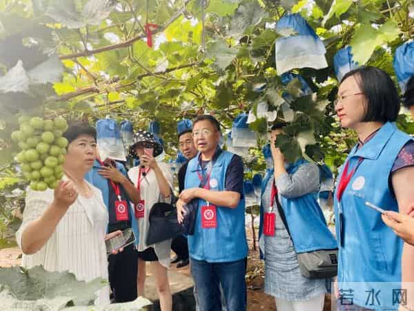 “新时代山乡巨变 文学与你同行”文学志愿服务走进本溪