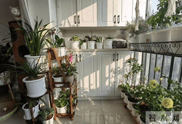 网文独家｜“姐姐妹妹，站起来”——当她们开始写网络文学