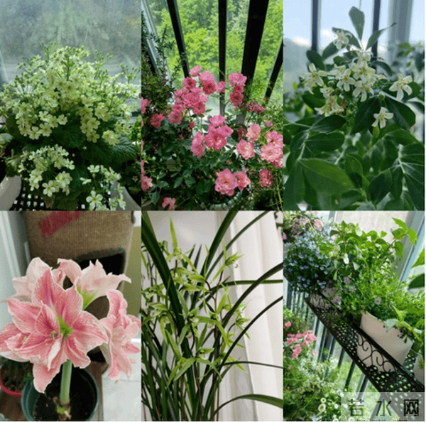 网文独家｜“姐姐妹妹，站起来”——当她们开始写网络文学