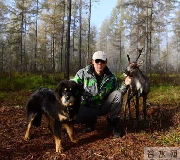 《民族文学》汉文版2022年第9期|格日勒其木格·黑鹤:叼狼·双子(节选)