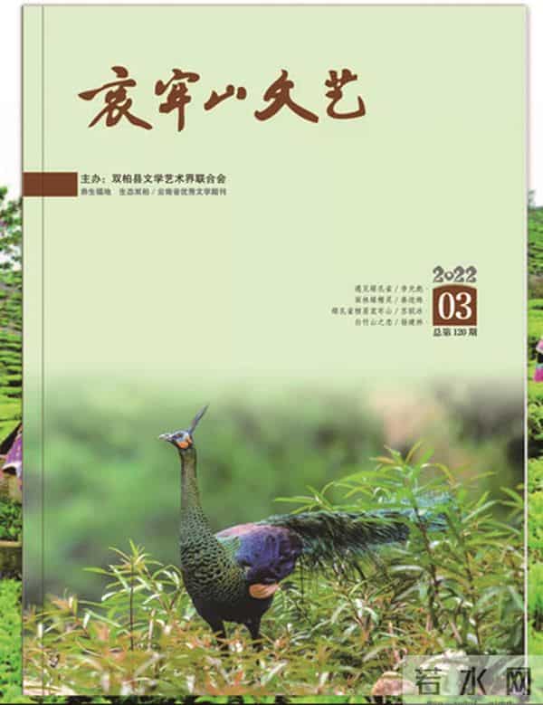 十年笔耕 勇毅前行