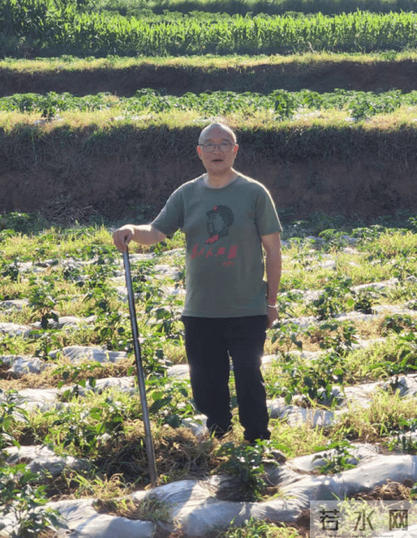 《边疆文学》2023年第2期|窦红宇:一地辣椒