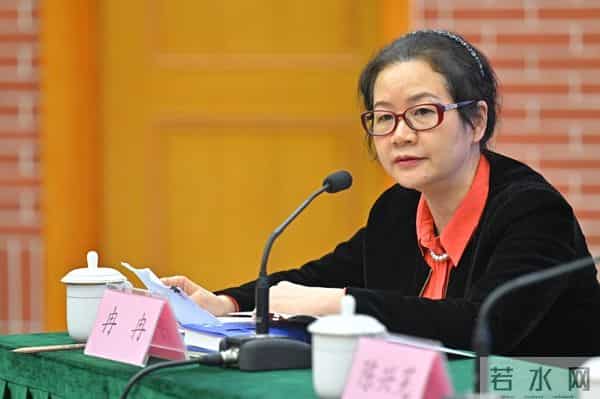 冉冉长篇小说《催眠师甄妮》研讨会在京举行